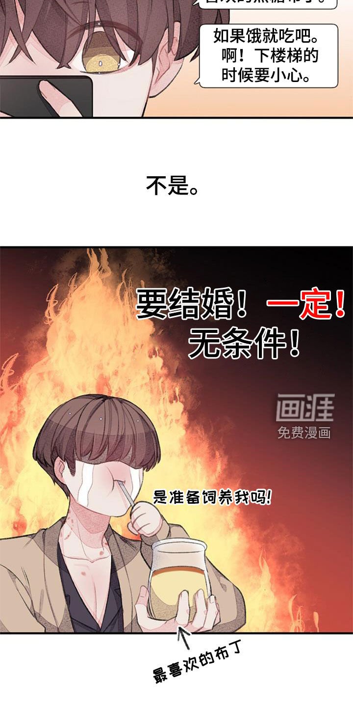 第50章：电话