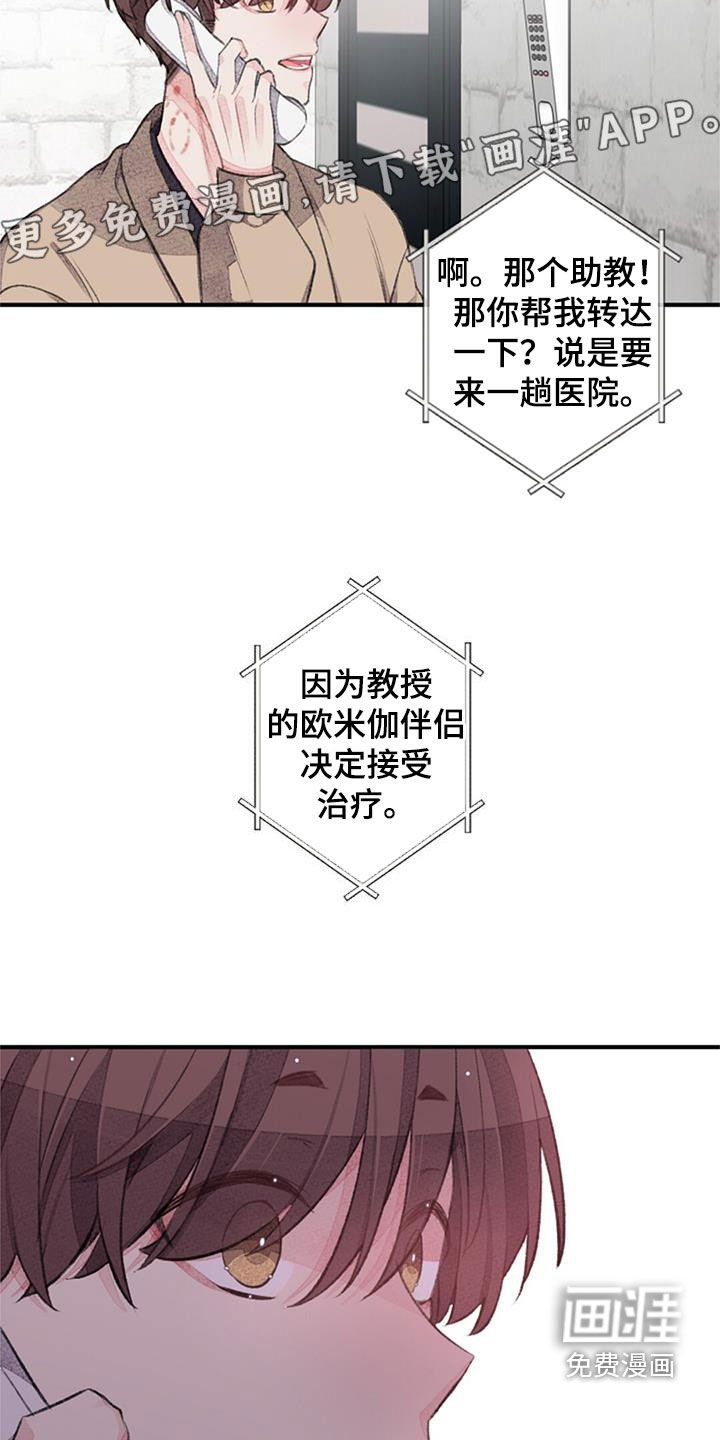 第50章：电话