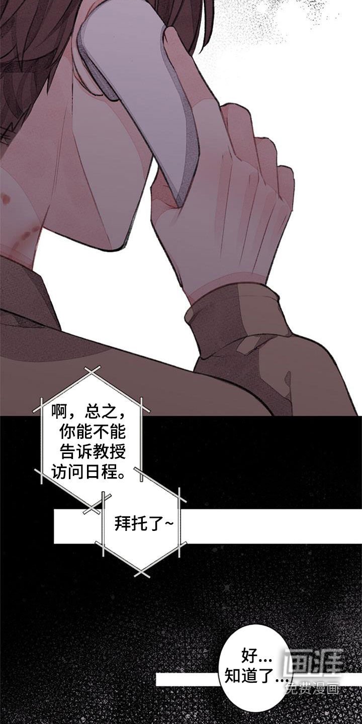 第50章：电话