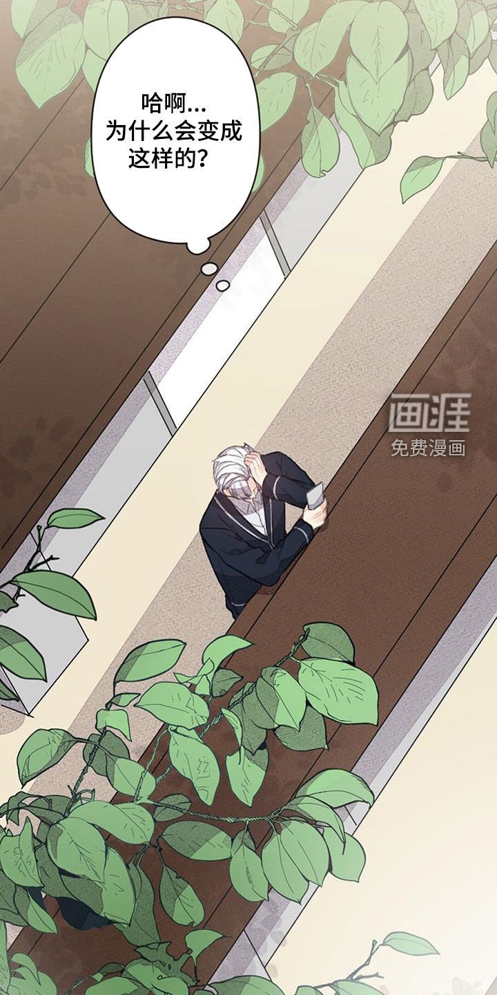 第51章：没有自信