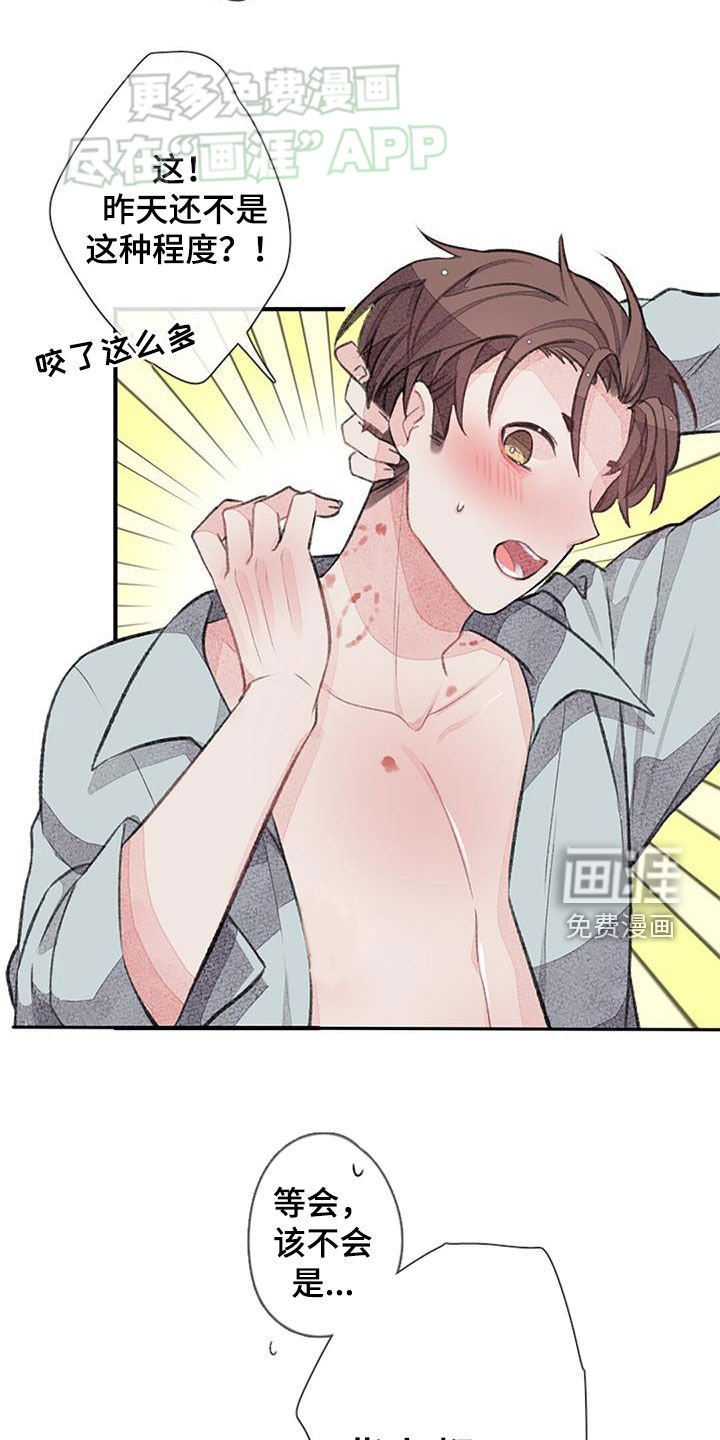 第52章：安排相亲