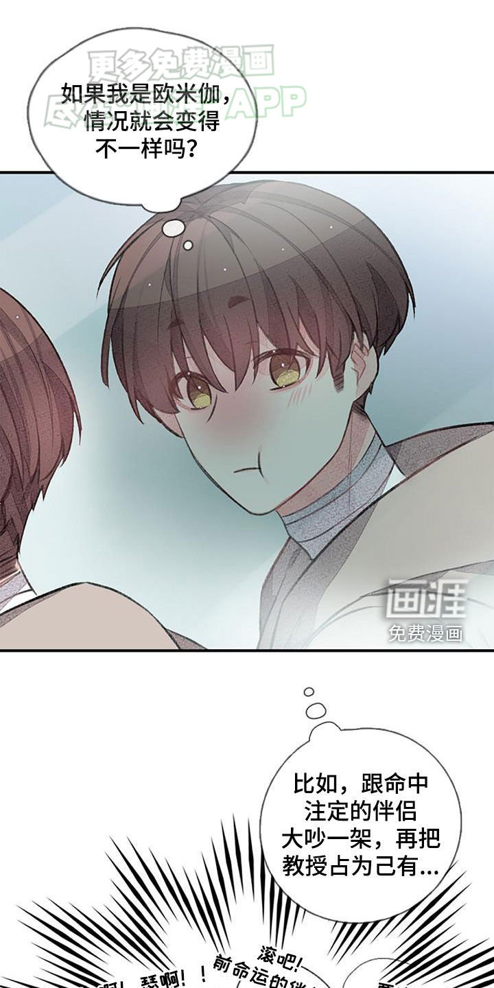 第52章：安排相亲