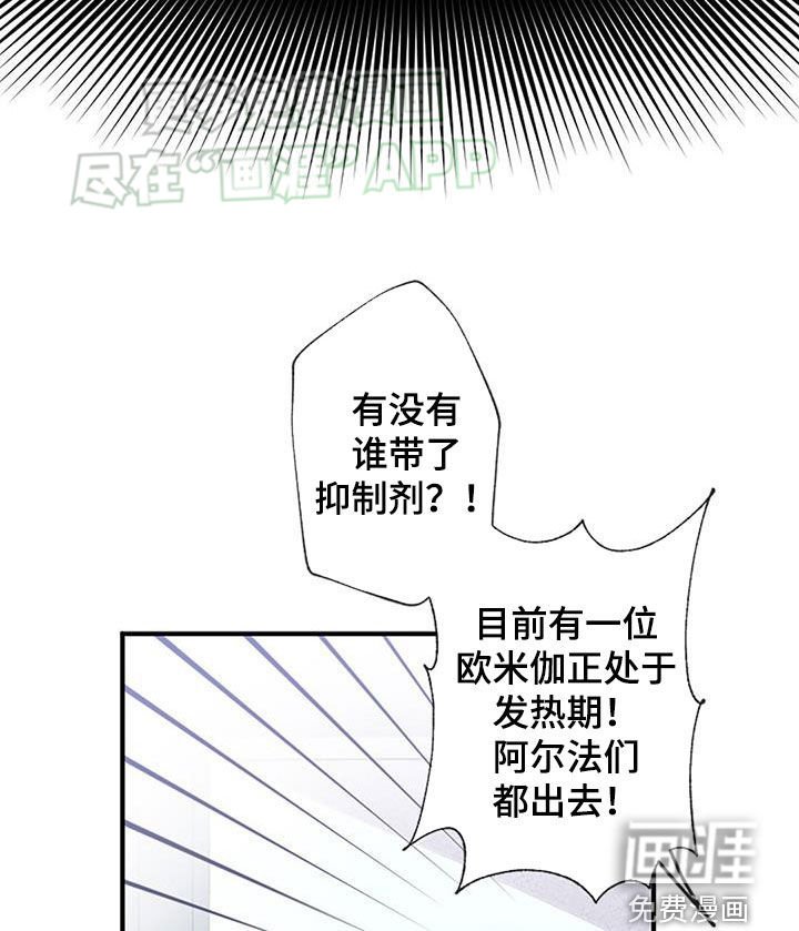 第52章：安排相亲
