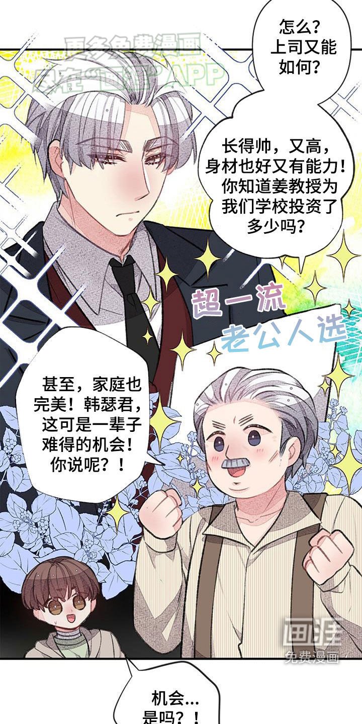第52章：安排相亲