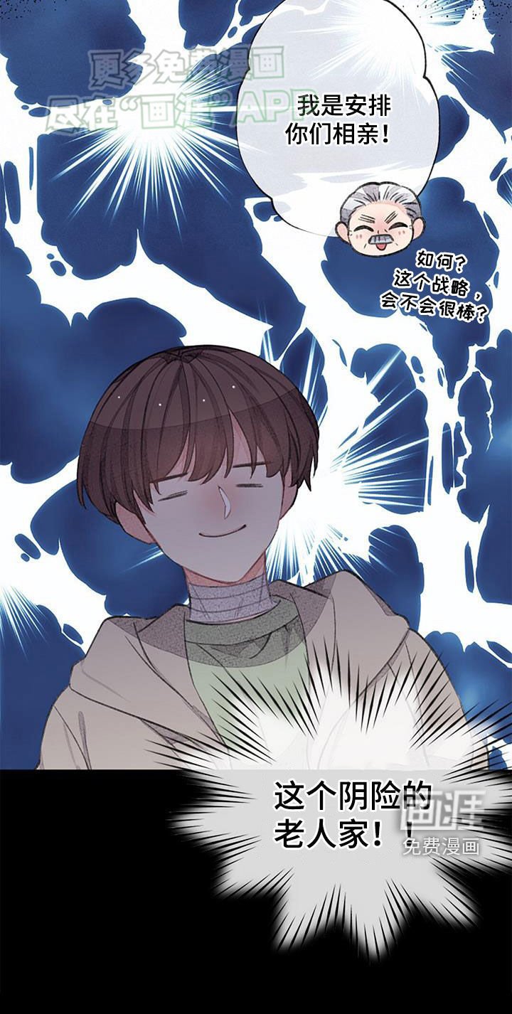 第52章：安排相亲