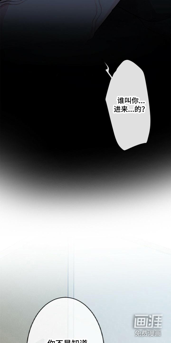 第8章：易感期
