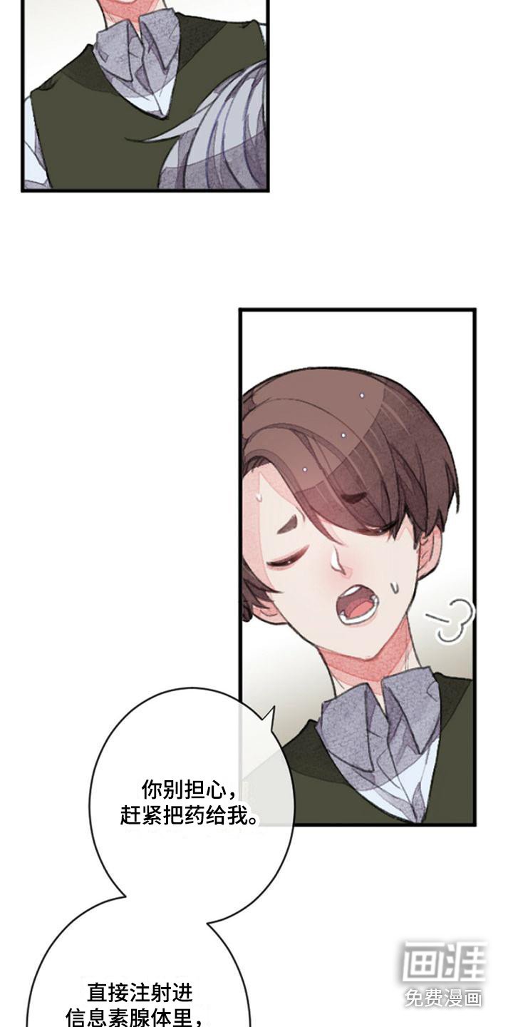 第9章：倔强