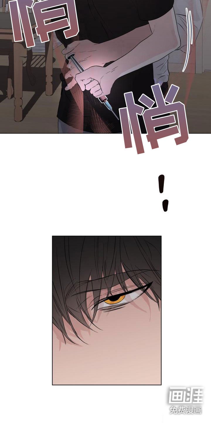 第12章：回到曾经