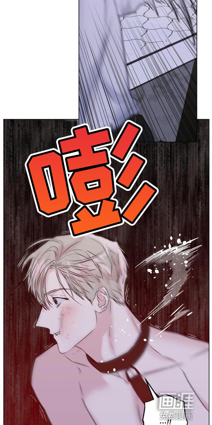 第17章：真正的家人