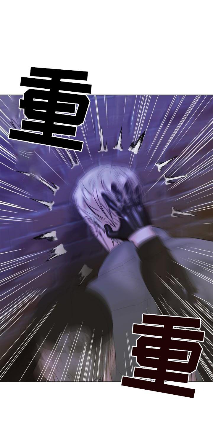 第21章：袭击