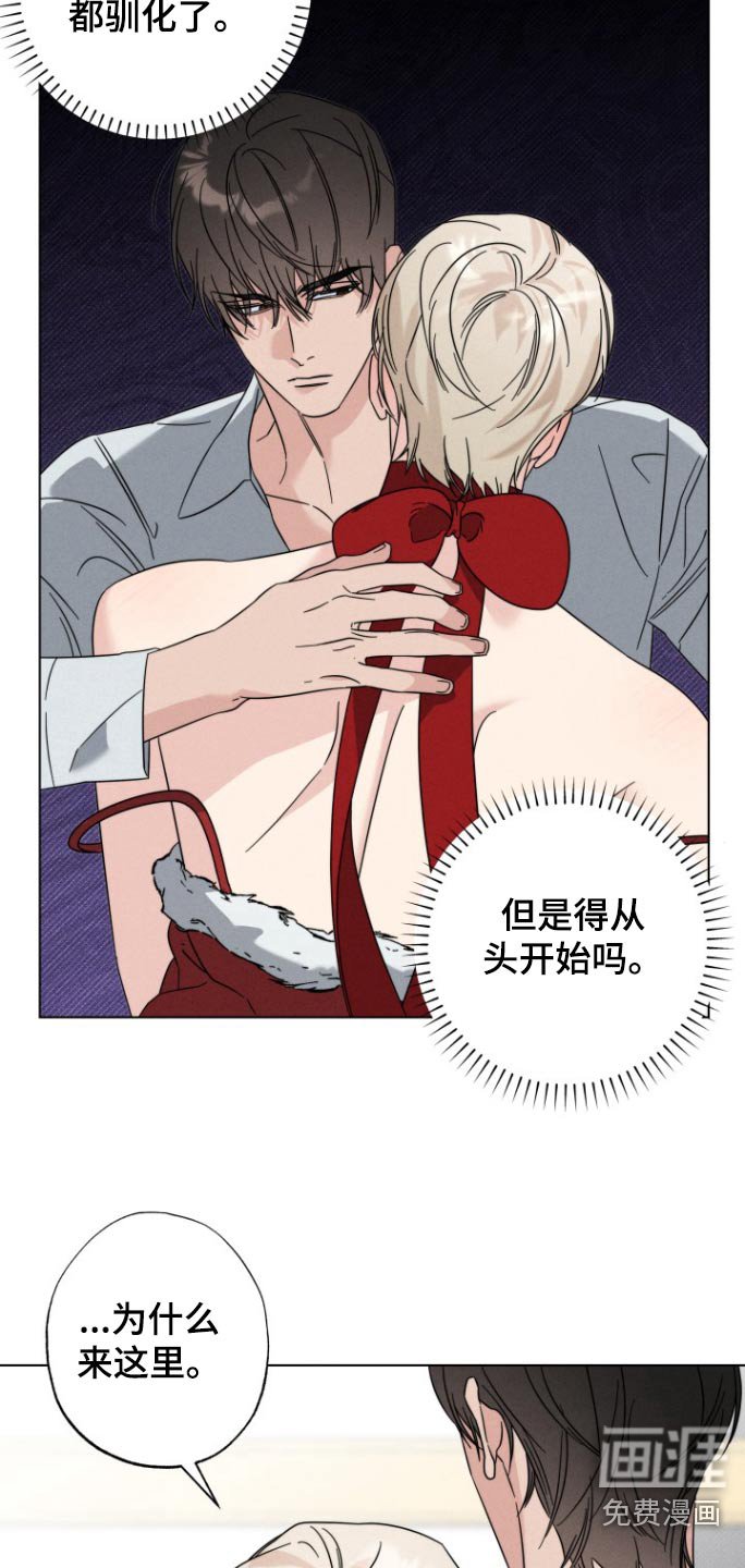 第31章：带上
