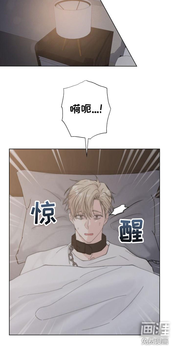 第5章：还记得吗？