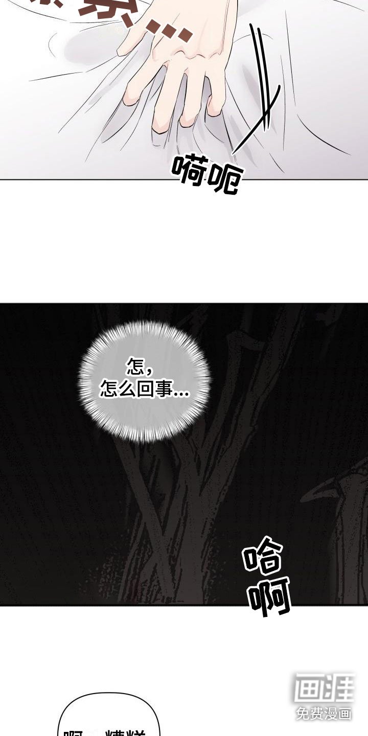 第9章：视频