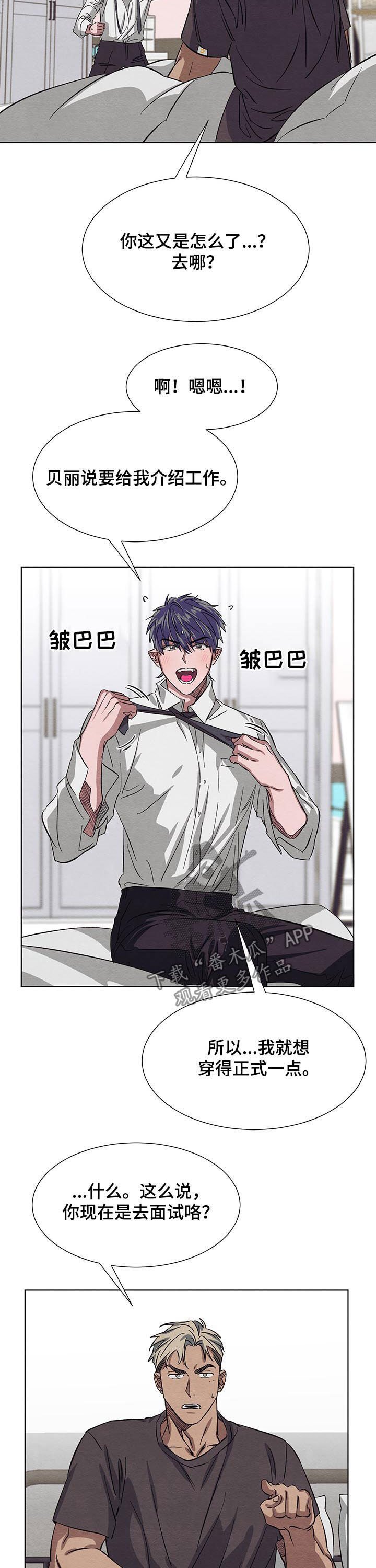 第13章：面试