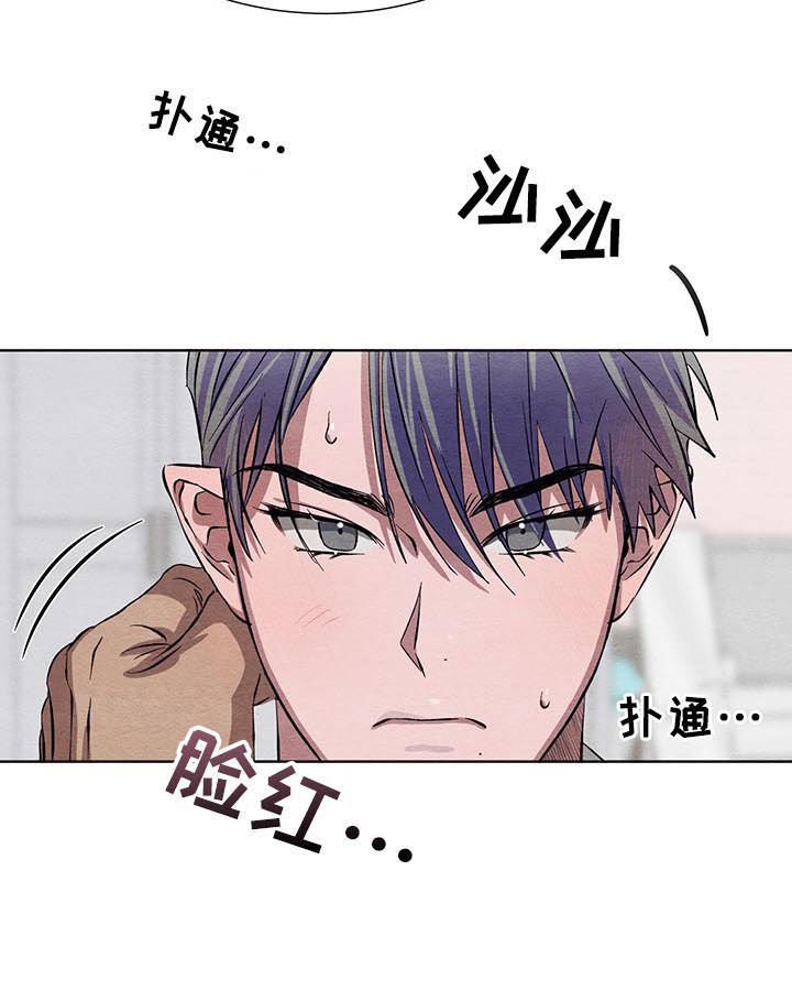 第13章：面试