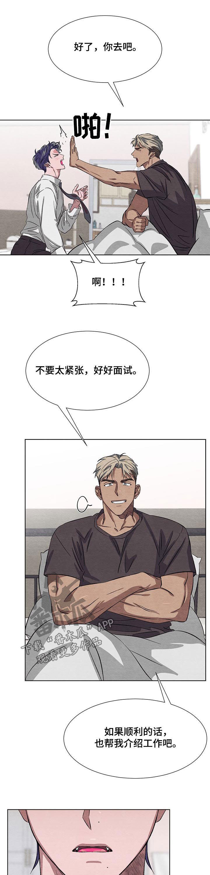 第13章：面试
