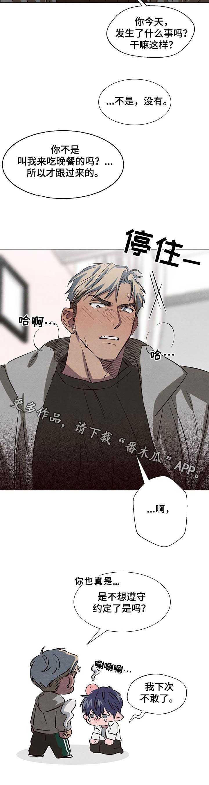 第14章：晚餐