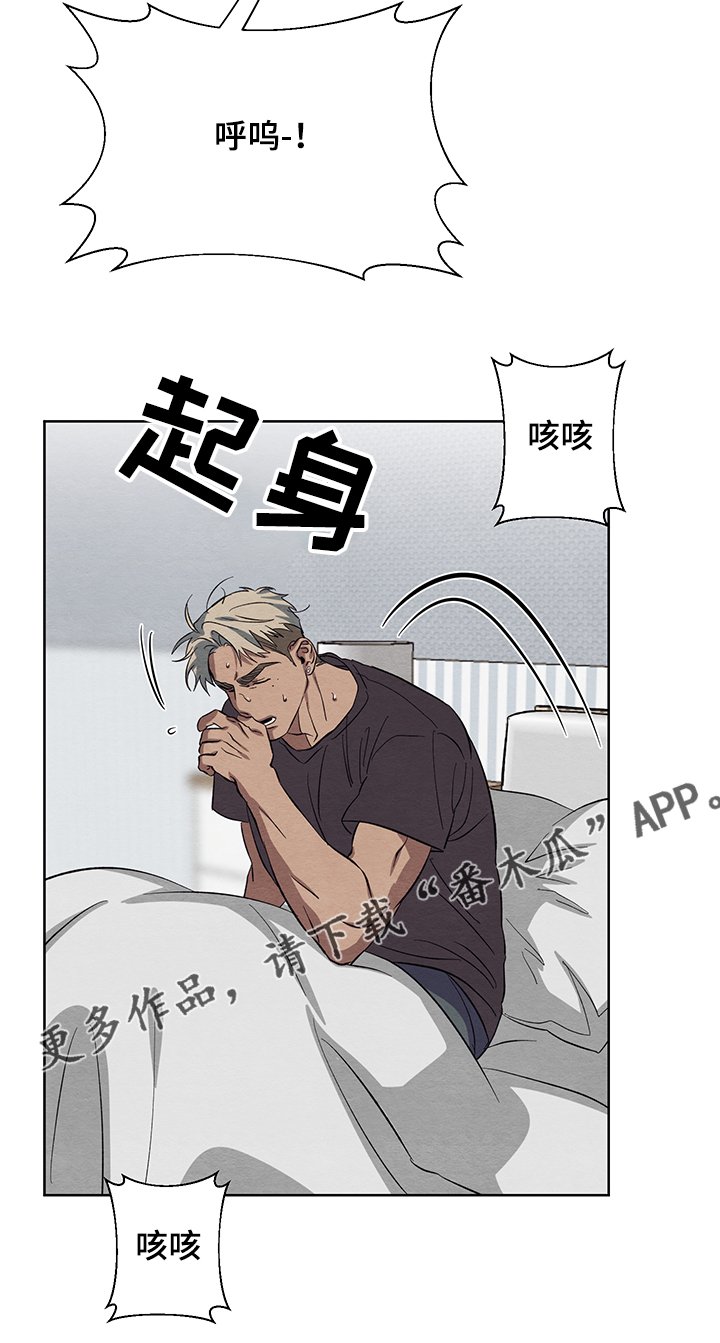 第27章：傻瓜与傻瓜