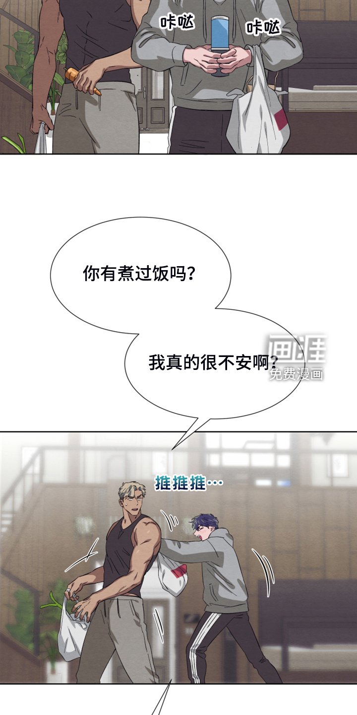第44章：【第二季】作战计划