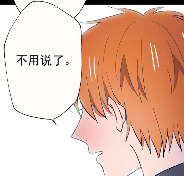 第54章：回忆篇-噩耗2