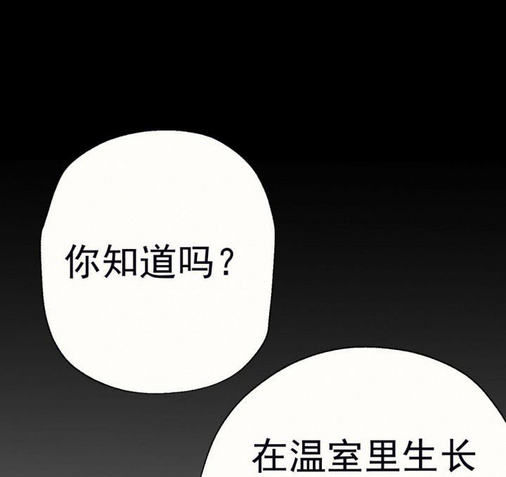 第60章：宫梧的宣言2