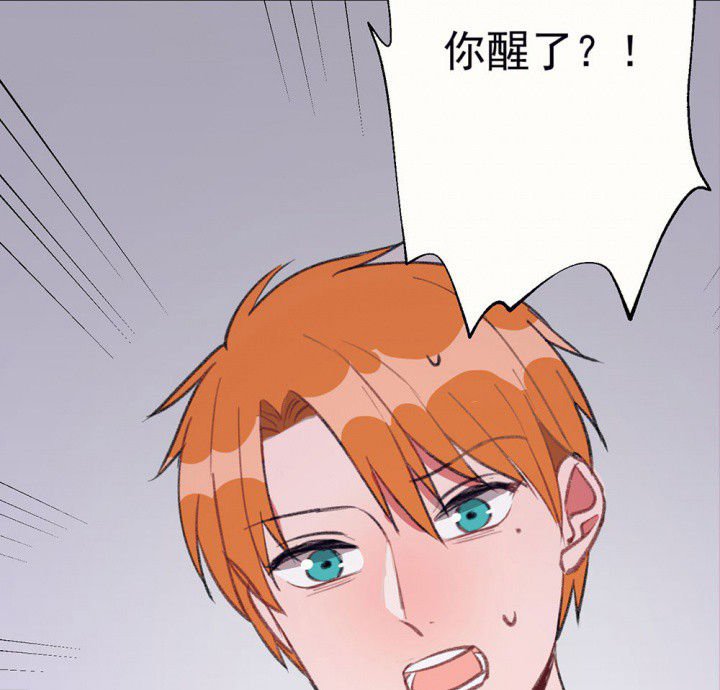 第73章：逐渐融化的冰1
