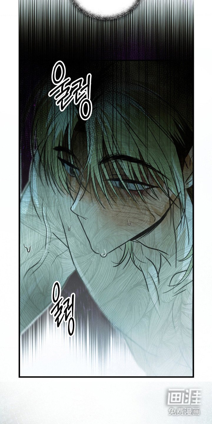 第11章：执着