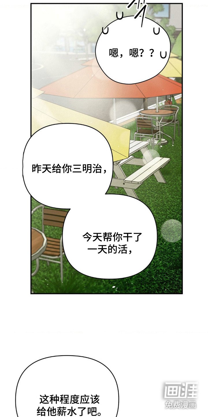 第14章：十分主动