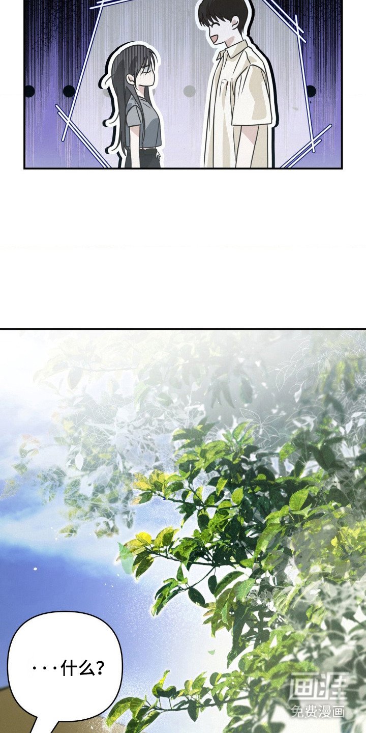 第15章：盯着看