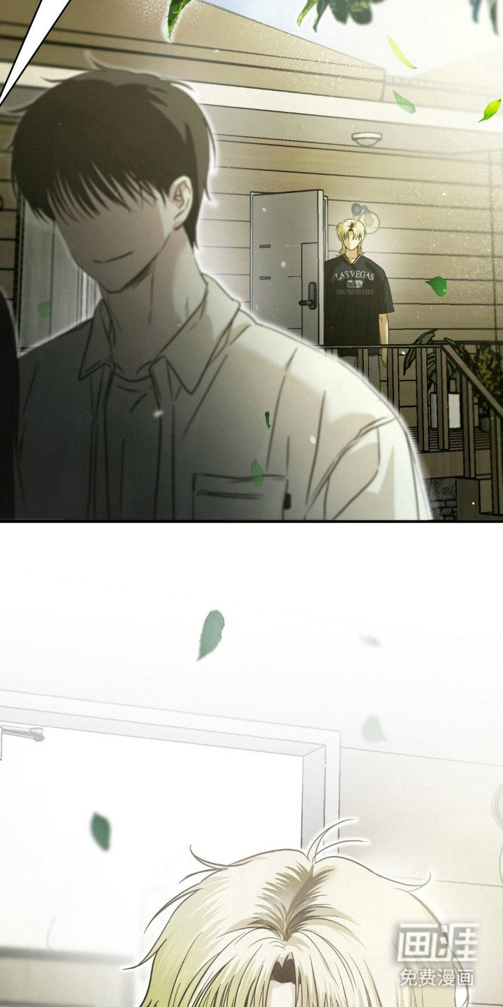 第15章：盯着看