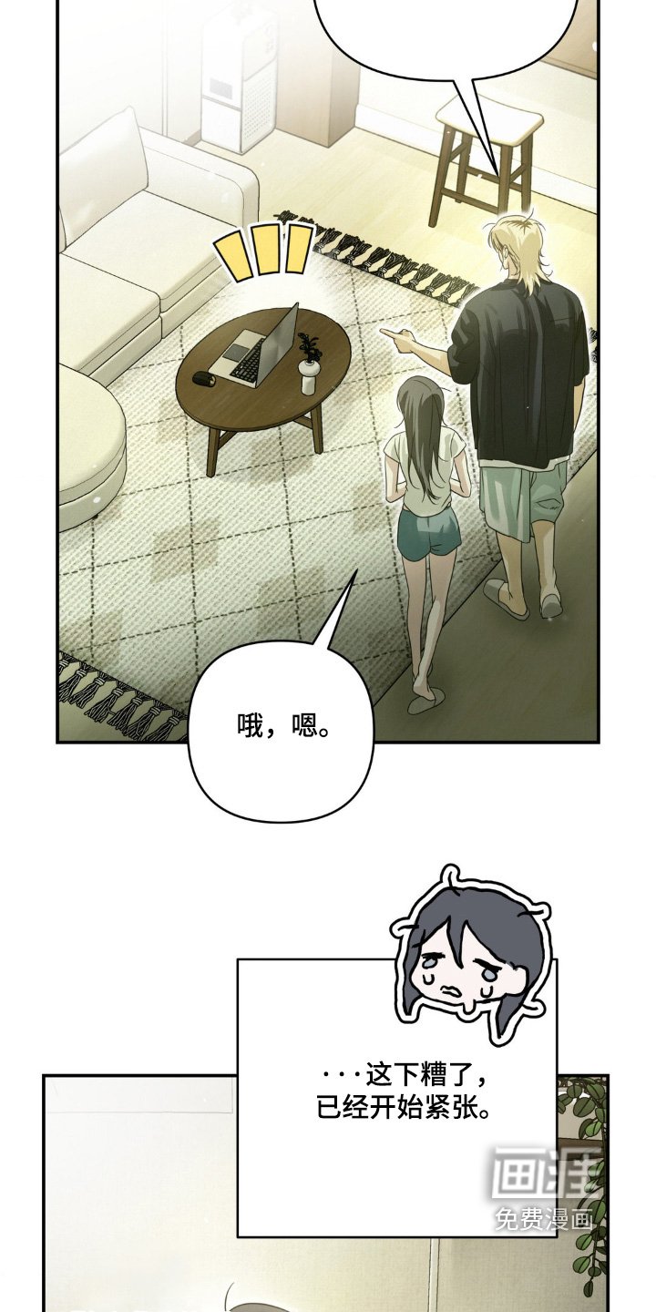 第18章：看电影