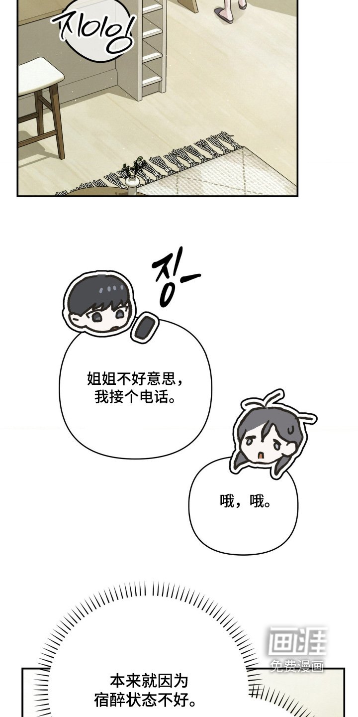 第33章：电话