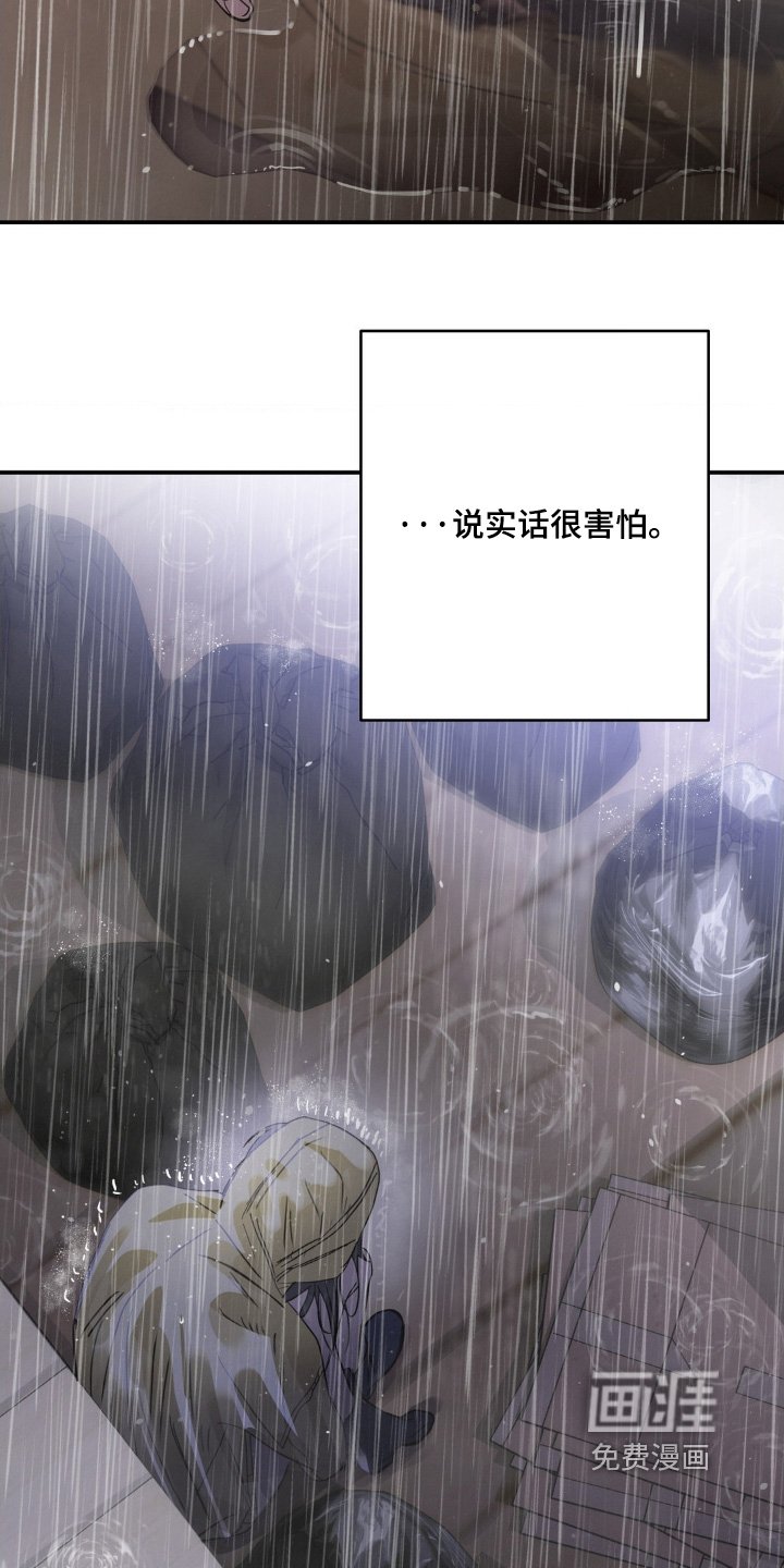 第37章：我喜欢你