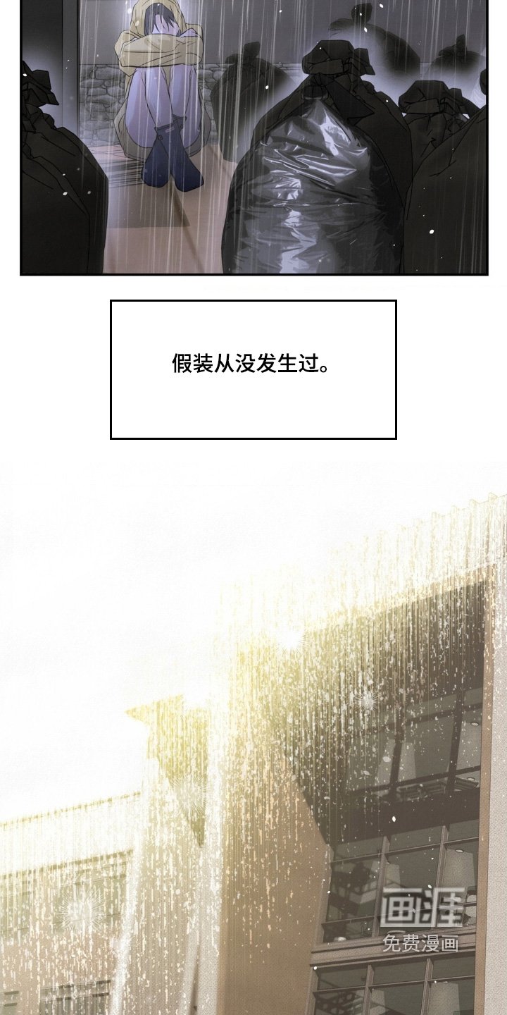 第37章：我喜欢你