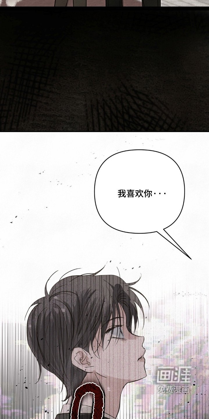 第37章：我喜欢你