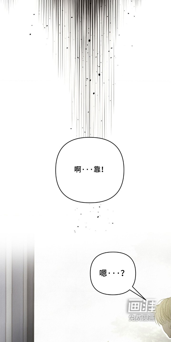 第37章：我喜欢你