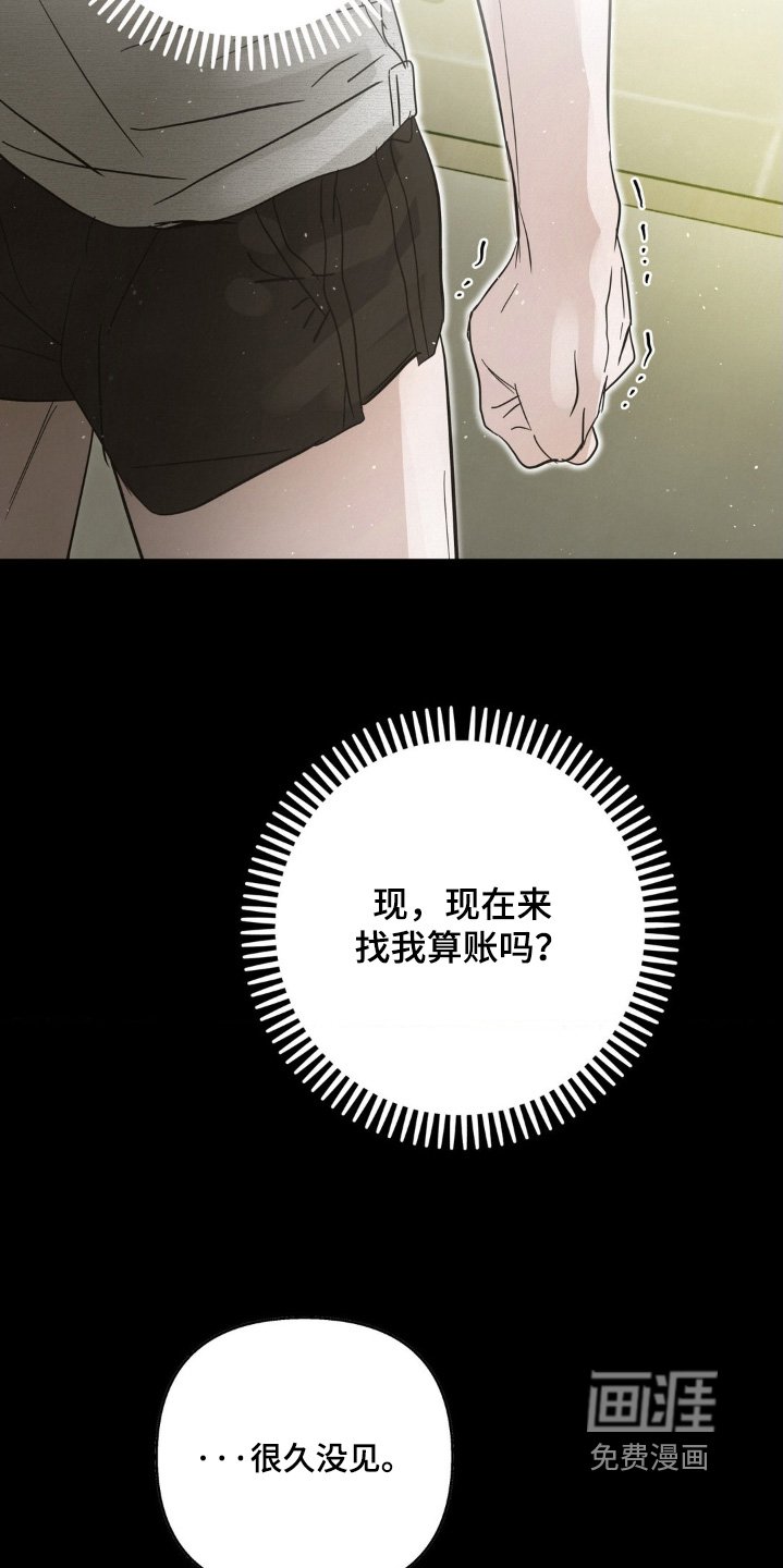 第37章：我喜欢你