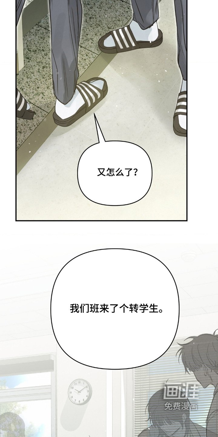 第39章：转学生