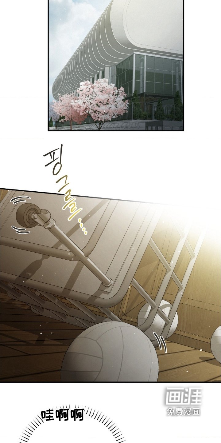 第41章：有点傻