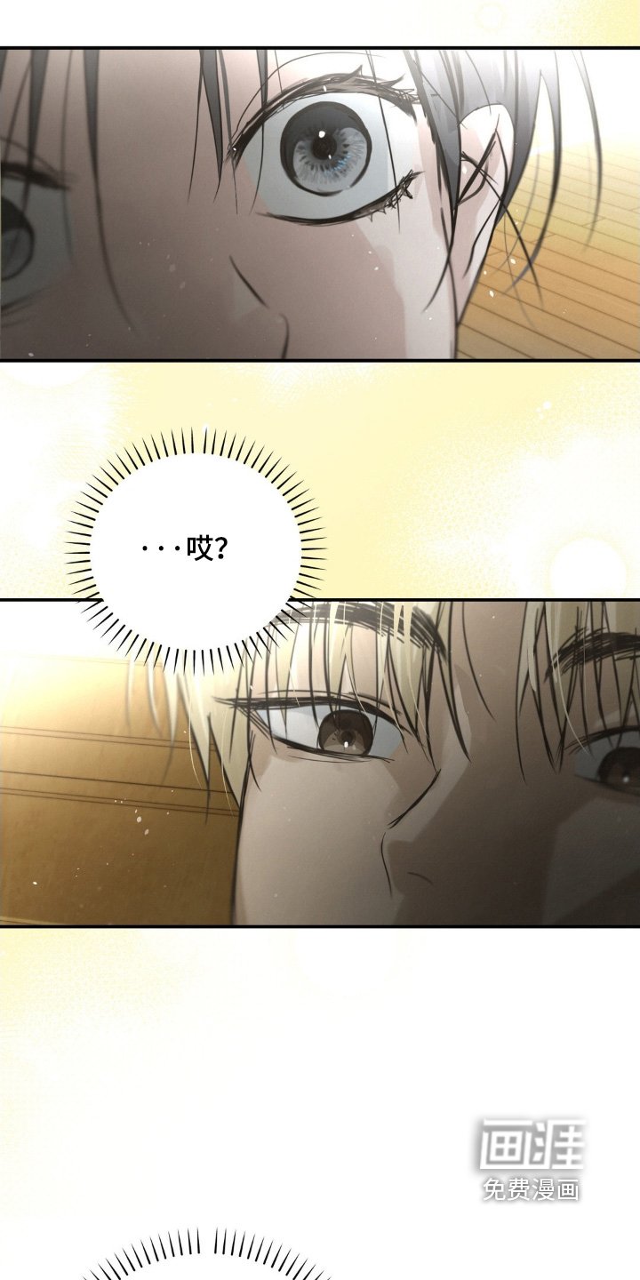 第41章：有点傻