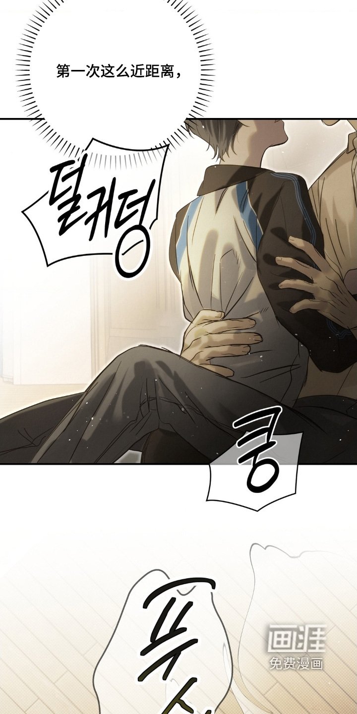 第41章：有点傻