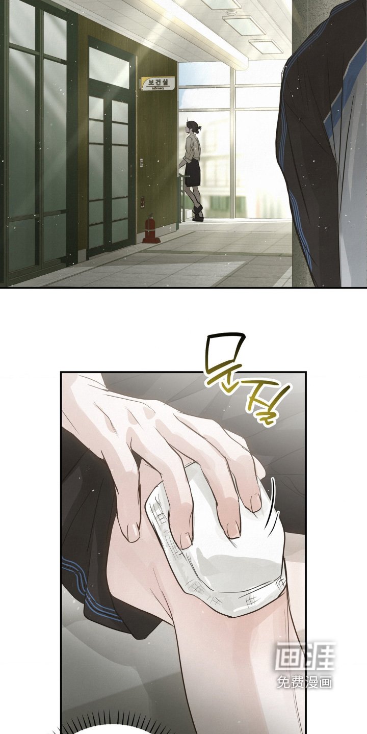 第42章：受伤了
