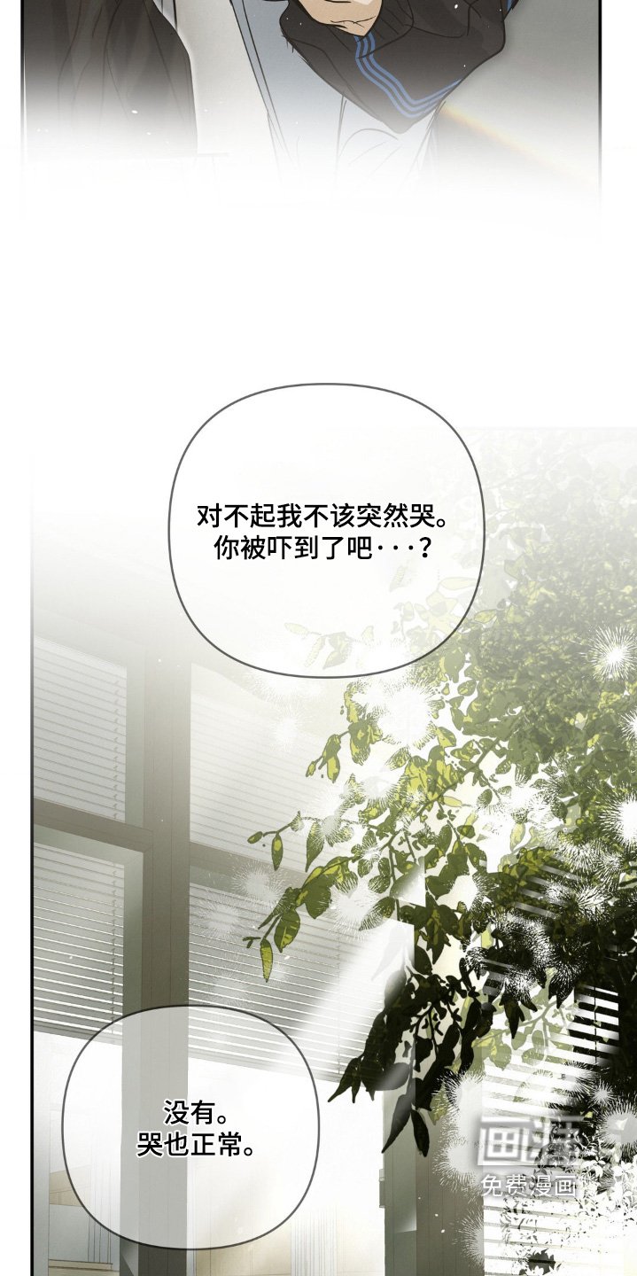 第43章：有点伤心
