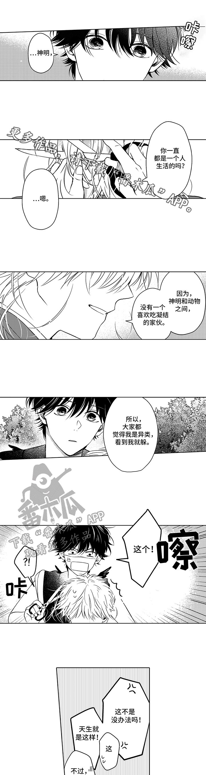 第15章：疑问