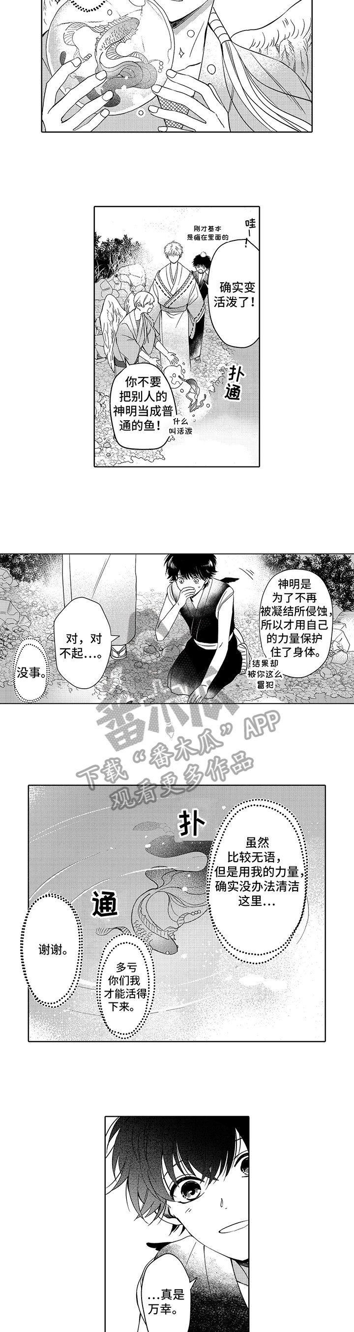 第20章：解决