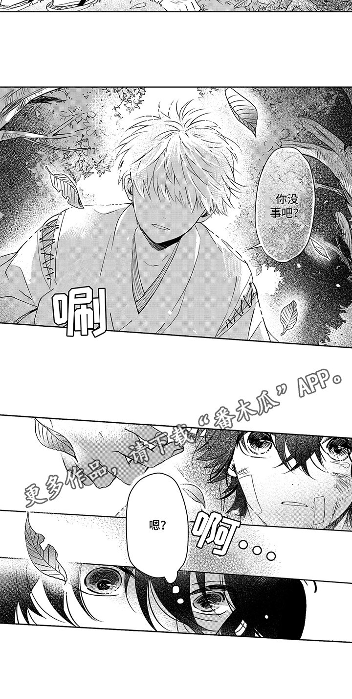 第5章：无法理解