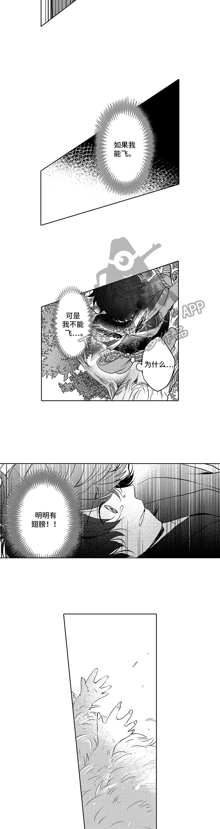 第6章：情况