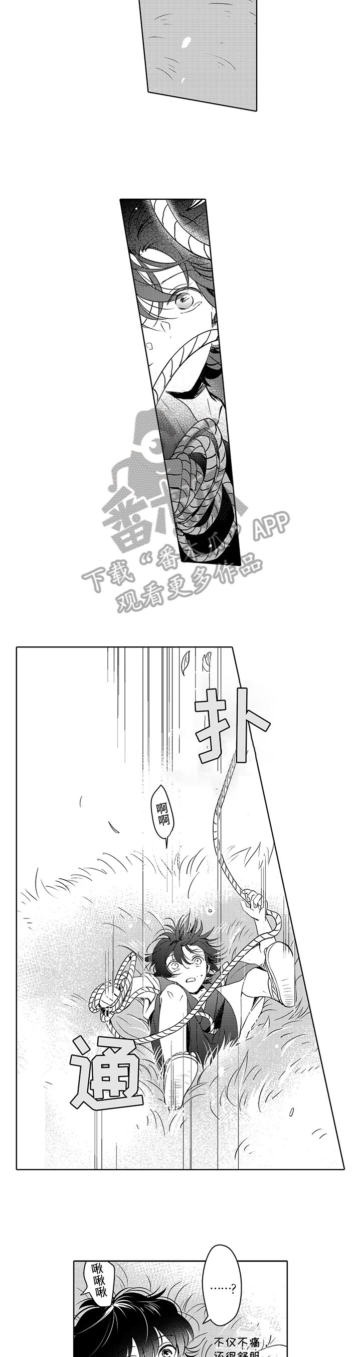第6章：情况