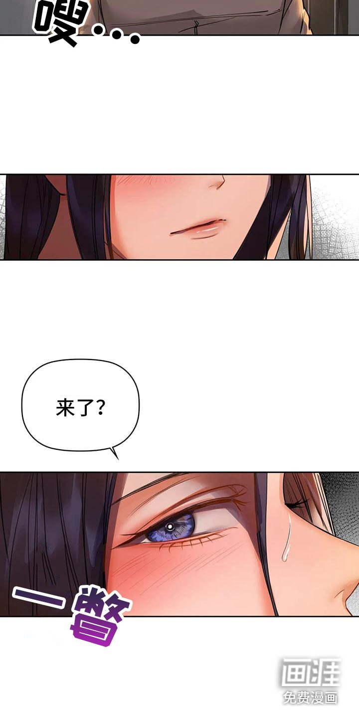 第17章：报复