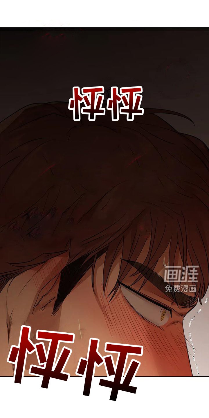 第17章：报复